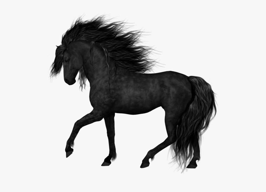 Black Png Picture Pinterest - Black Horse Transparent Background, Transparent Clipart