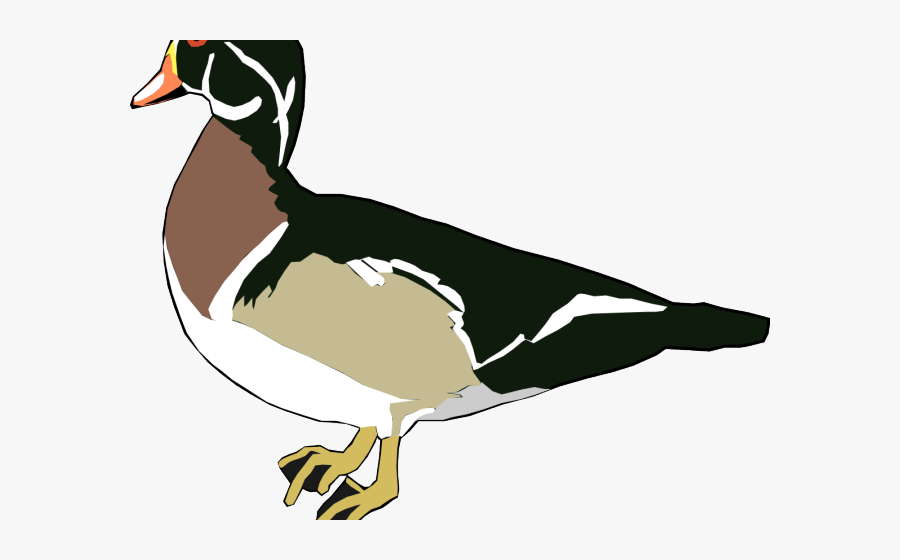 Transparent Free Duckling Clipart - Wood Duck Clipart Black And White, Transparent Clipart