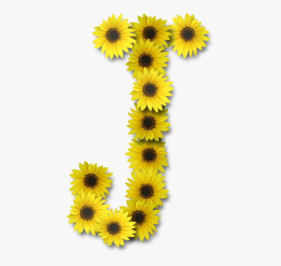 Alfabeto Sunflowers, Transparent Clipart