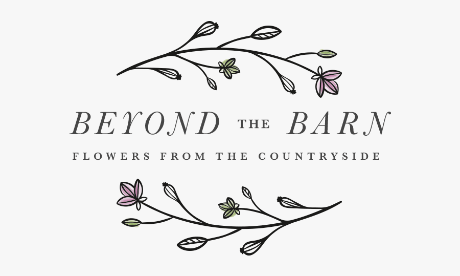 Calligraphy, Transparent Clipart