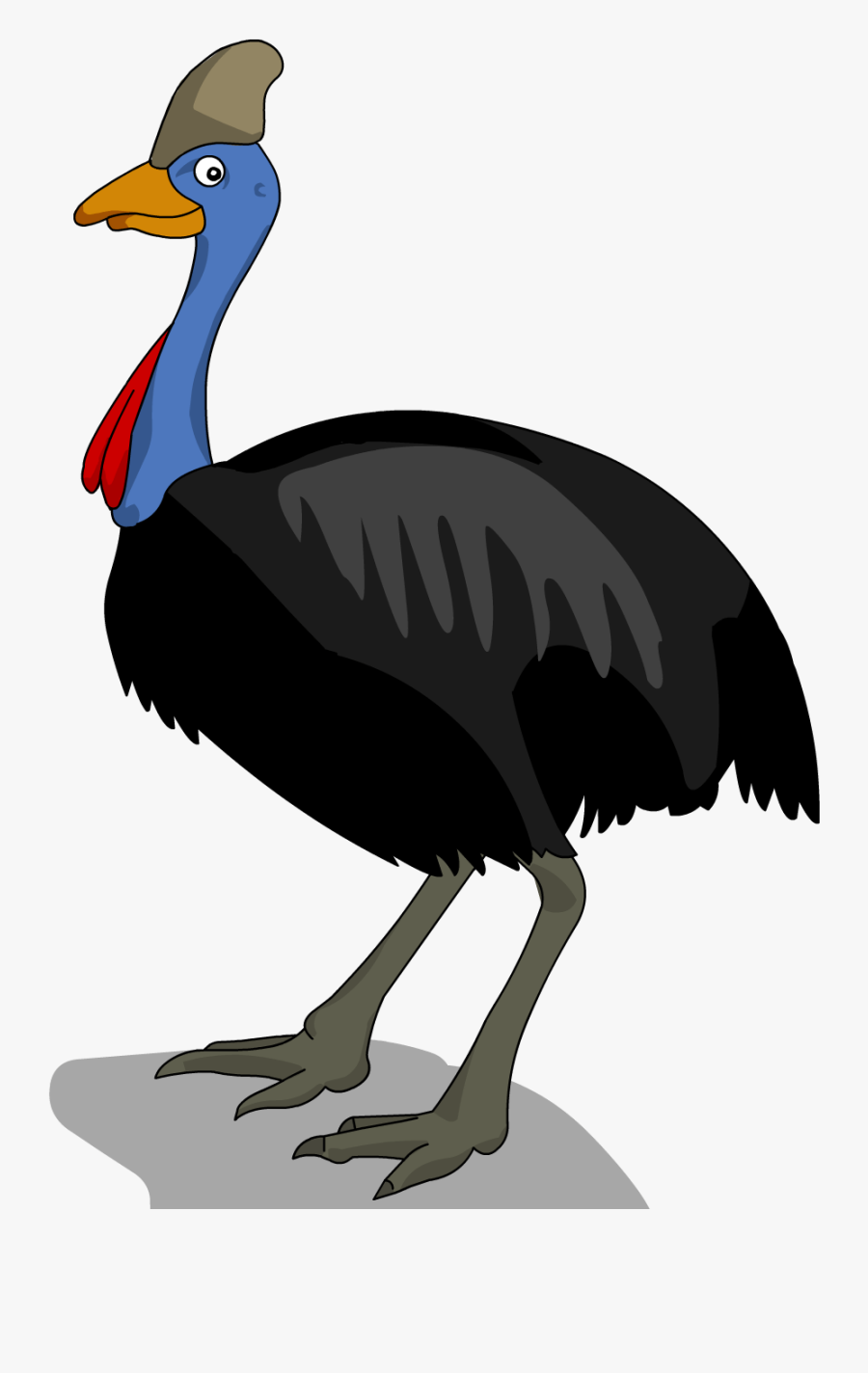 Emu Drawing Cassowary - Cassowary Clipart, Transparent Clipart