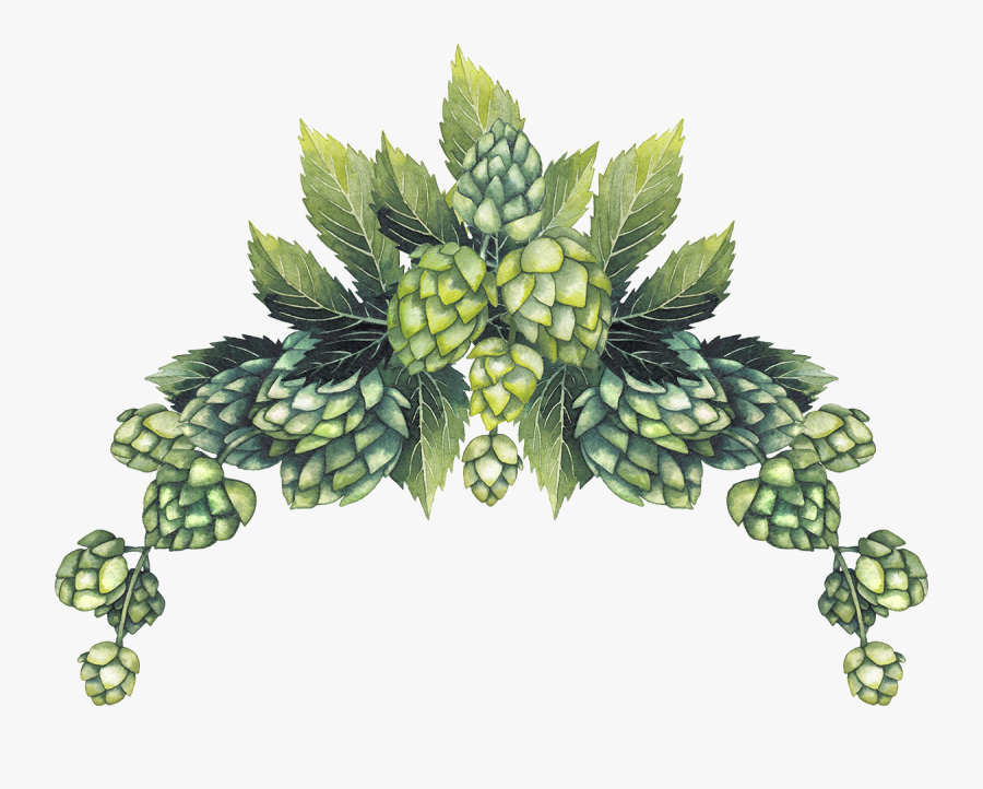 Seedless Fruit, Transparent Clipart