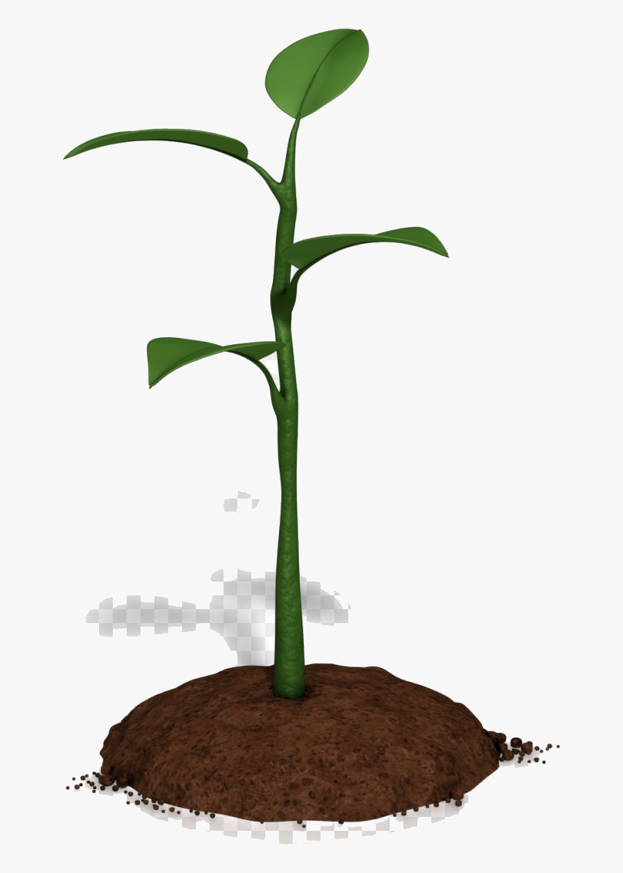 Soil Clipart Plant Growth Animations For Powerpoint - Without Continual Growth And Progress Such Words, Transparent Clipart