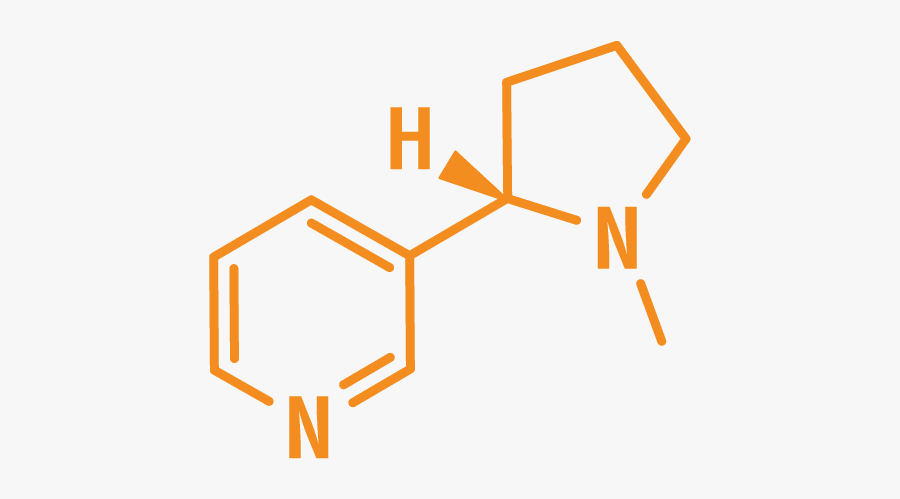 Molecule Nicotine - Molecuyle Nicotine, Transparent Clipart