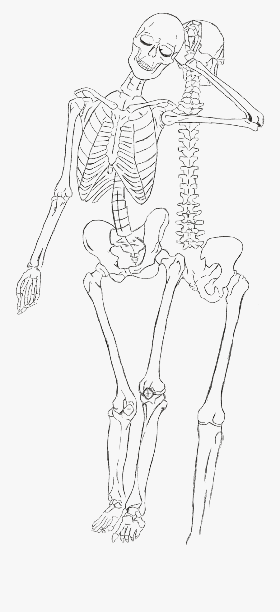 Skeleton Arm Sketch - Line Art, Transparent Clipart