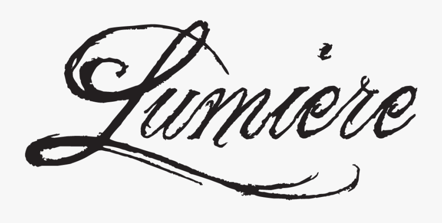 I Always Wanted To Be A Fashion Photographer, But I - Calligraphy, Transparent Clipart