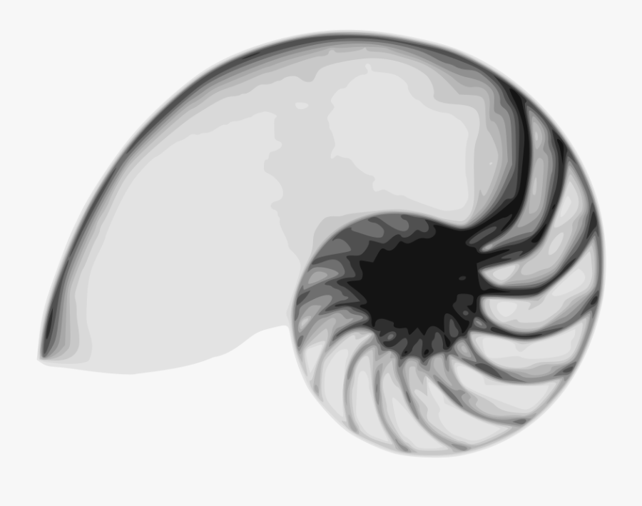 Nautilus Svg Clip Arts - Nautilus Png, Transparent Clipart