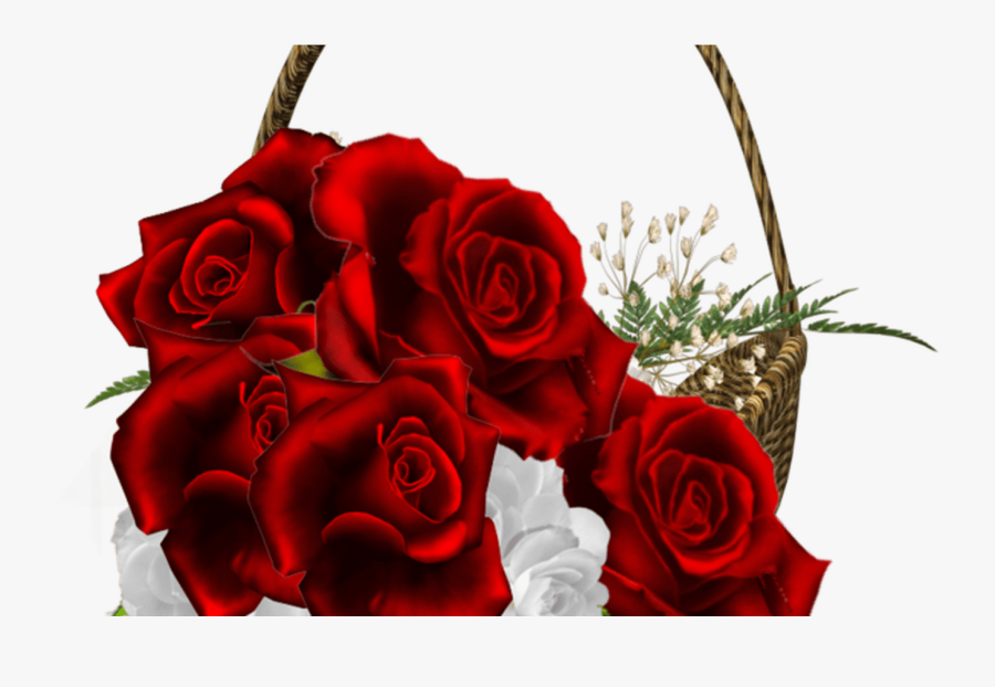 Beautiful Rose Flower For Friend, Transparent Clipart