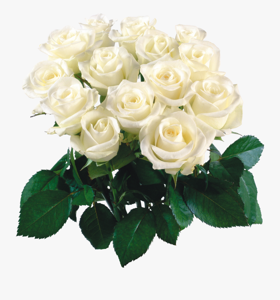 Bouquet Flowers Png - White Flower Bokeh Png, Transparent Clipart
