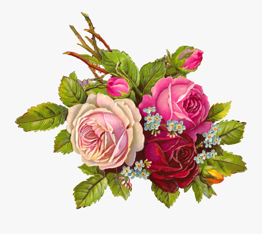 Bouquet Vector Vintage Rose, Transparent Clipart