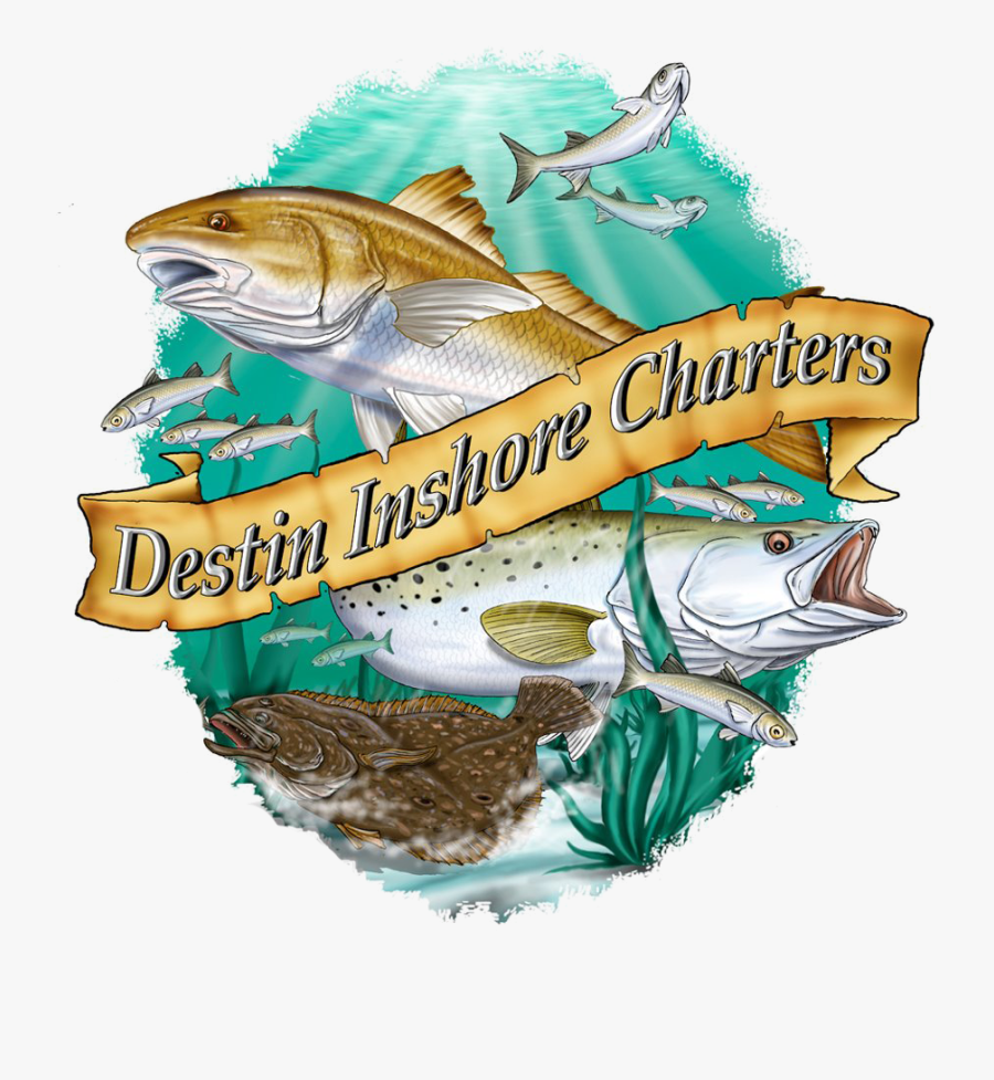 The Emerald Coast"s Premier Guide Service Specializing - Jigging, Transparent Clipart