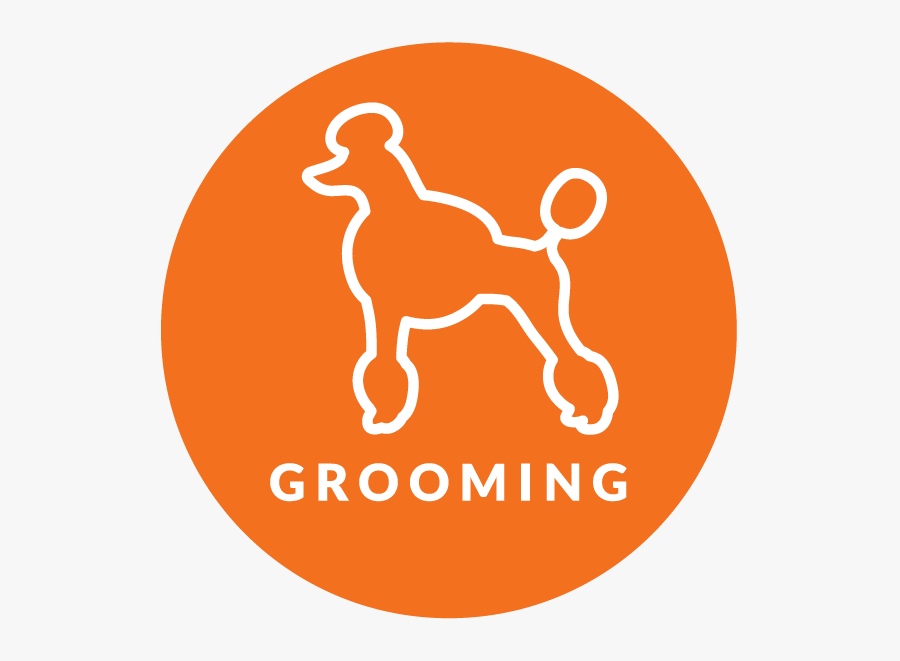 Have You Seen Lisa"s Common Core Crunch Packs She Has - You Re The Bombe Valentine, Transparent Clipart