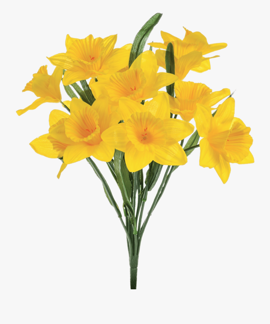 Transparent Background Daffodil Transparent, Transparent Clipart
