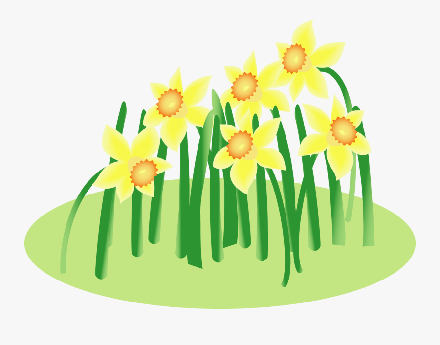 Floral Design Wild Cut - Narcissus, Transparent Clipart