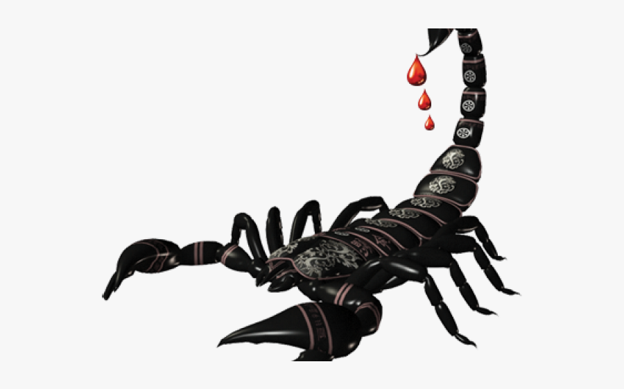 Scorpio Png Transparent Images - Dj Maphorisa Scorpion Kings, Transparent Clipart