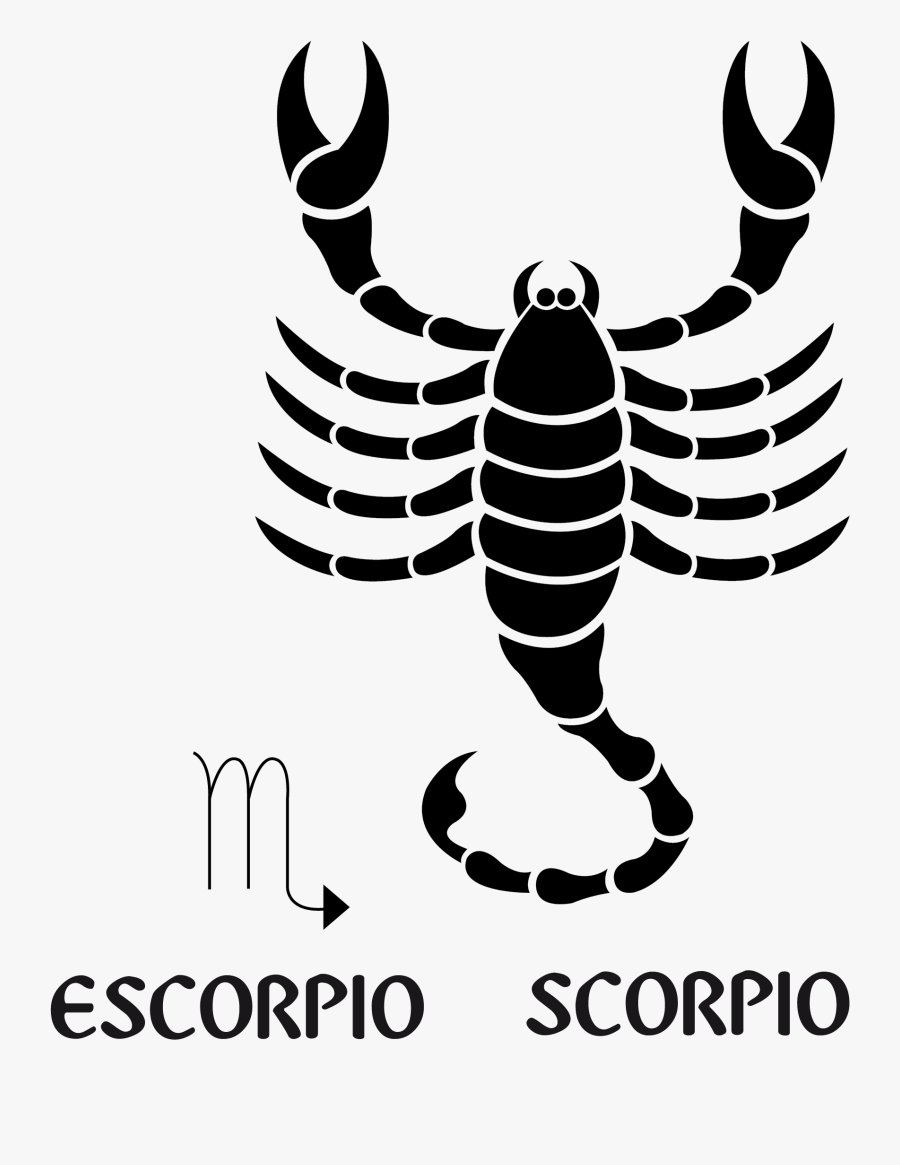 Zodiac Signs Symbols Scorpio, Transparent Clipart