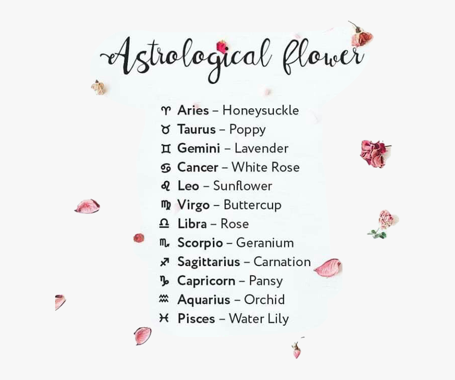 #cancer #libra #leo #virgo #aries #gemini #sagittarius - Illustration, Transparent Clipart