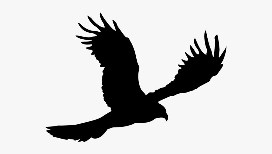 Bald Eagle Silhouette - Aves Silhueta, Transparent Clipart