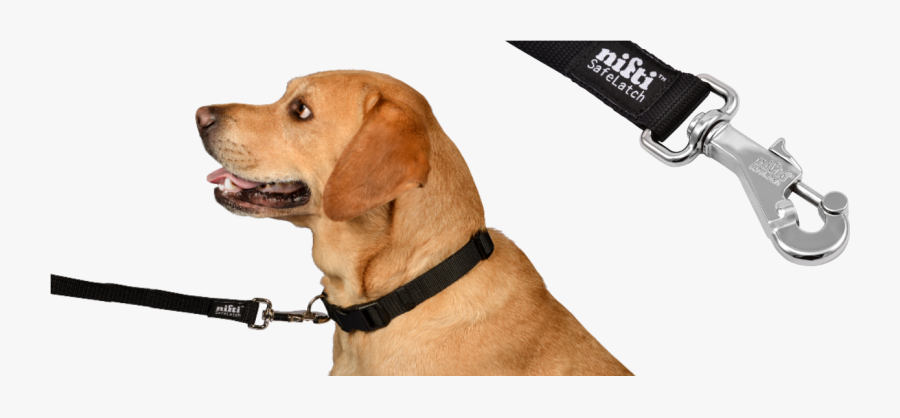 Nifti Safelatchœ Dog Leash - Companion Dog, Transparent Clipart