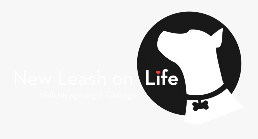 We Need Your Help To Restore Levi - New Leash On Life Chicago, Transparent Clipart