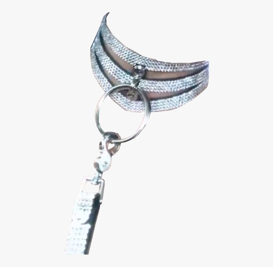 Leash Collar Pupplay Freetoedit - Keychain, Transparent Clipart