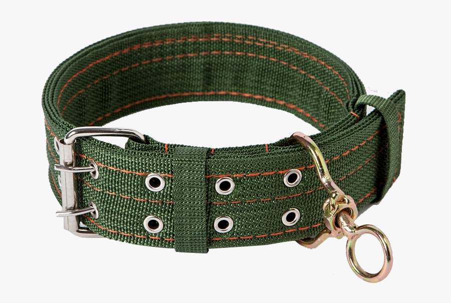 Sen Fang Dog Collar Dog Leash Dog Leash Dog Chain Medium - Buckle, Transparent Clipart