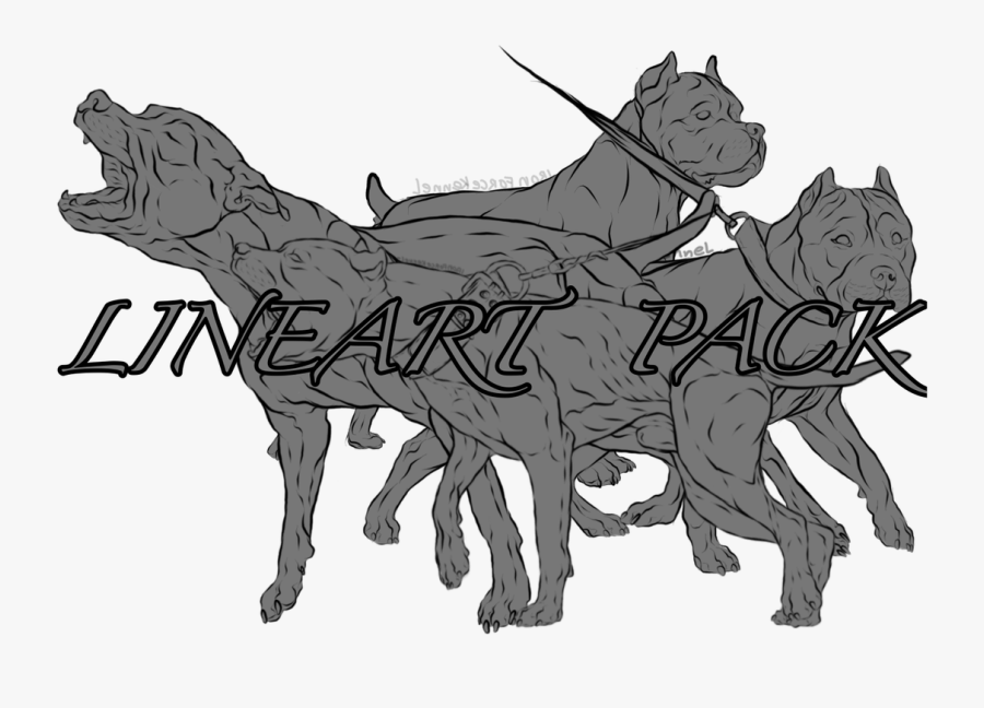 Dog Leash Lineart - Illustration, Transparent Clipart