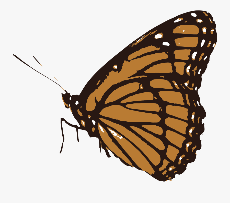 Butterfly Clipart Black And White Transparent, Transparent Clipart