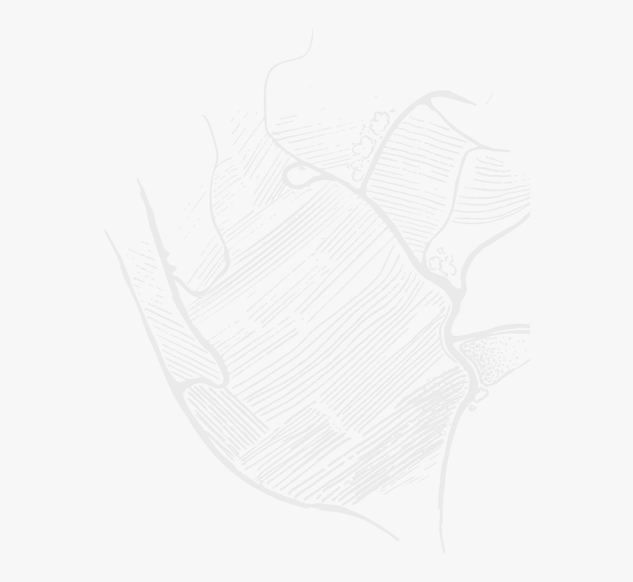 Dishes Drawing Background - Sketch, Transparent Clipart