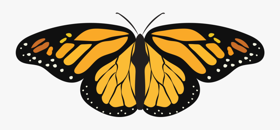 Monarch Butterfly Hi Res, Transparent Clipart