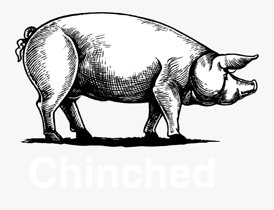 Pig Vector Vintage Free, Transparent Clipart
