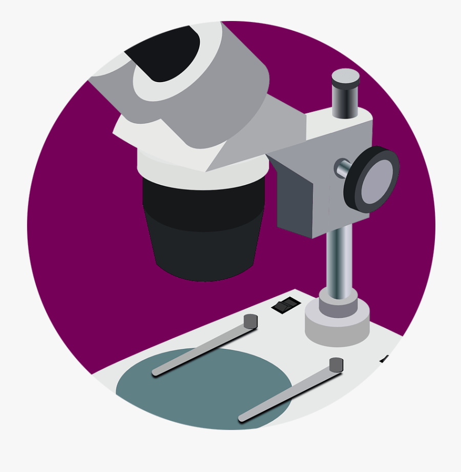 Microscope, Transparent Clipart