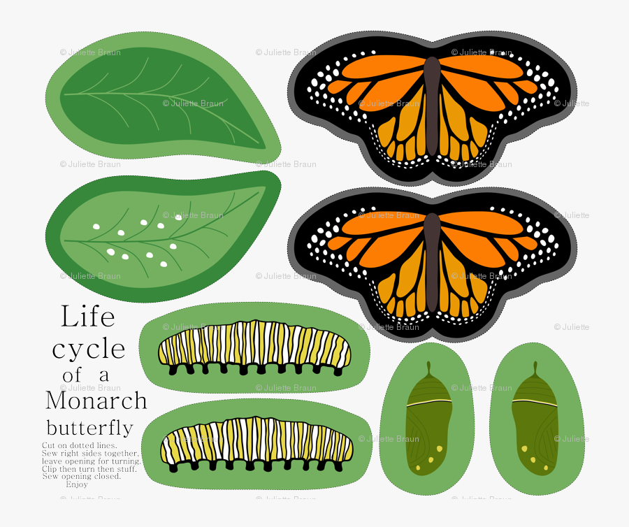 Monarch Butterfly, Transparent Clipart