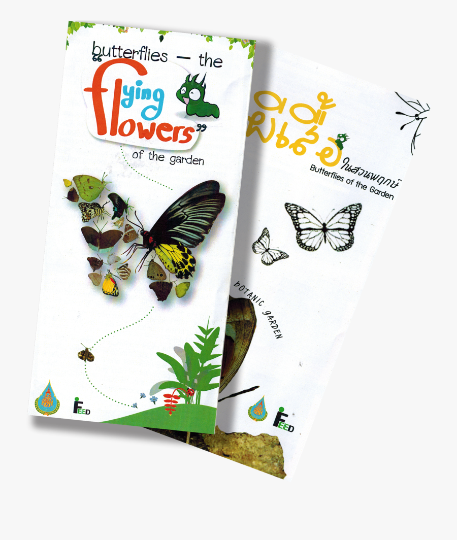 Images - Papilio, Transparent Clipart