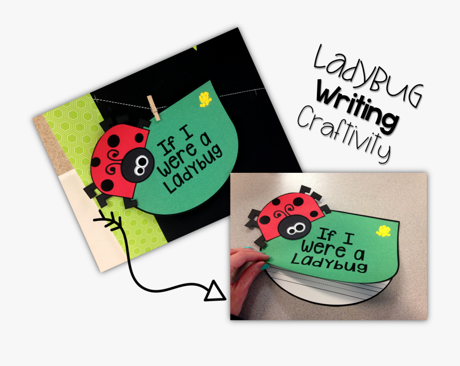 Ladybug, Transparent Clipart
