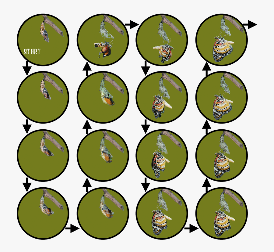 Icone Menuiserie, Transparent Clipart