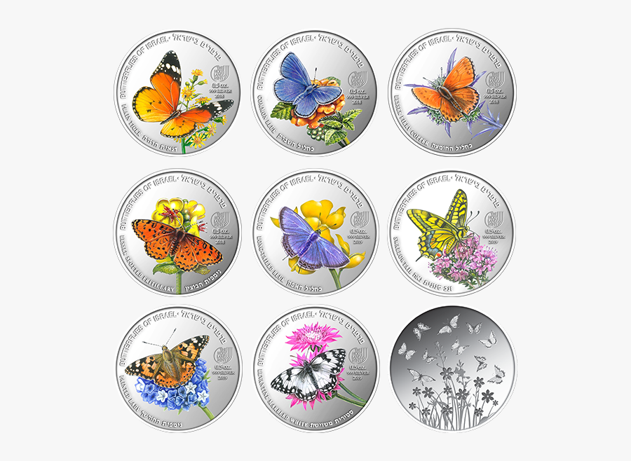 Flower, Transparent Clipart