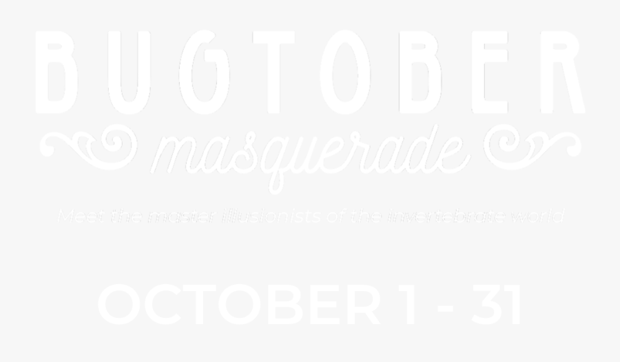 "
 Class="main Hero Slide Img - Parker Spitzer, Transparent Clipart