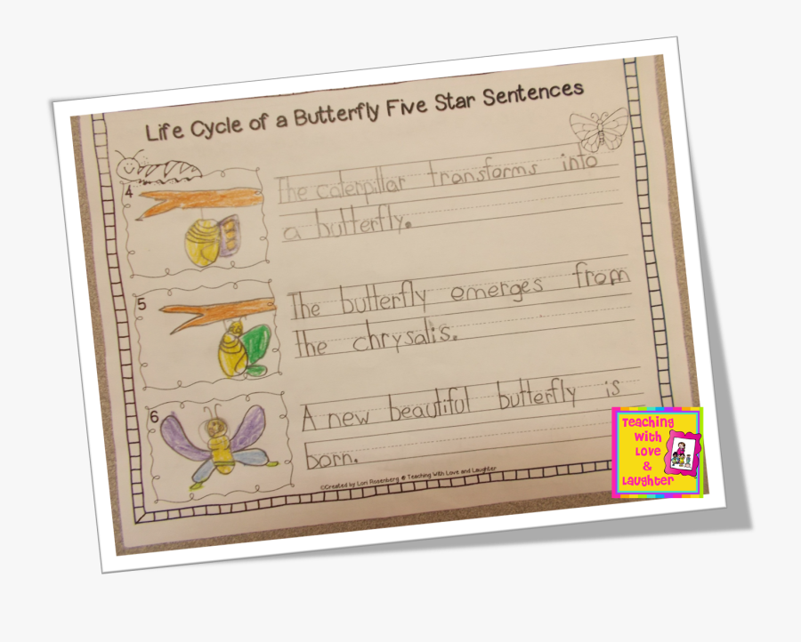 Essay On Butterfly, Transparent Clipart