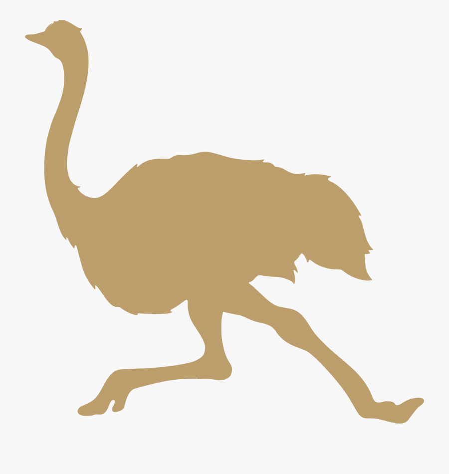 Ostrich Svg, Transparent Clipart
