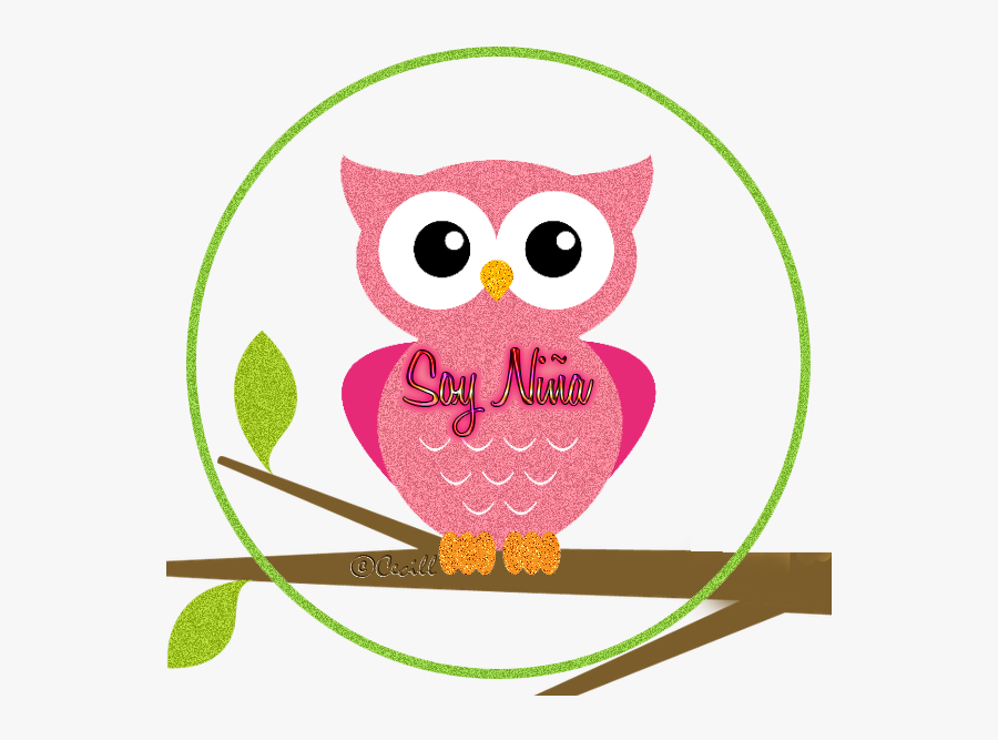 Soy Niña Niño, It"s A Boy Girl, Png - Owl Themed Classroom Rules, Transparent Clipart