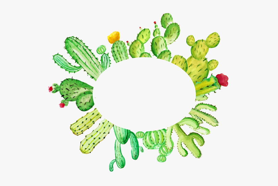 Cactaceae Invitation Watercolor Painting - Circle Cactus Clipart, Transparent Clipart