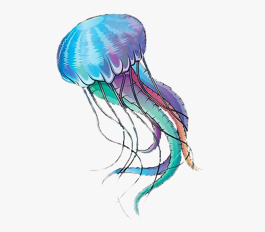 #jellyfish #sea #colors #cute #water #blue - Illustration, Transparent Clipart