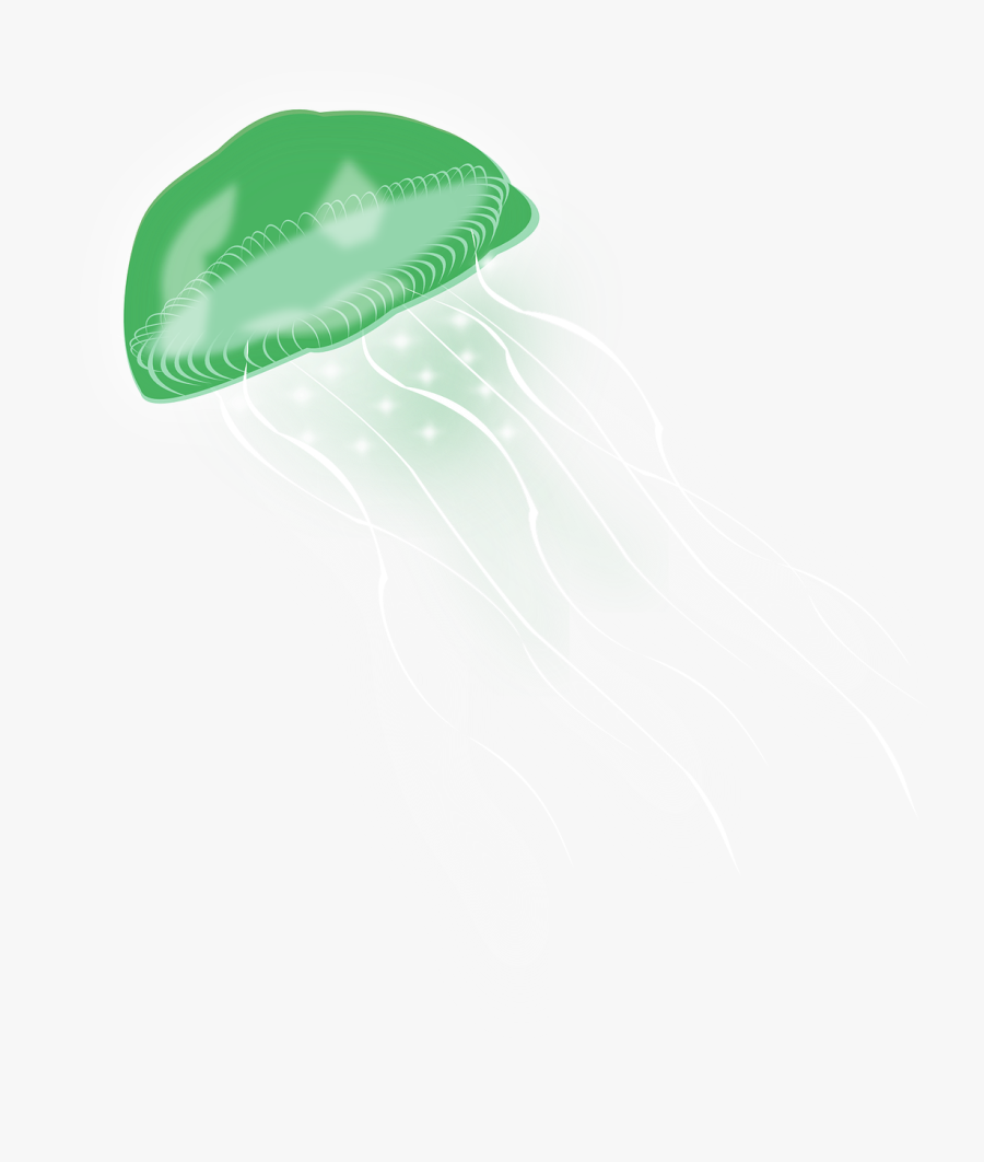 Transparent Sparkle - Box Jellyfish, Transparent Clipart