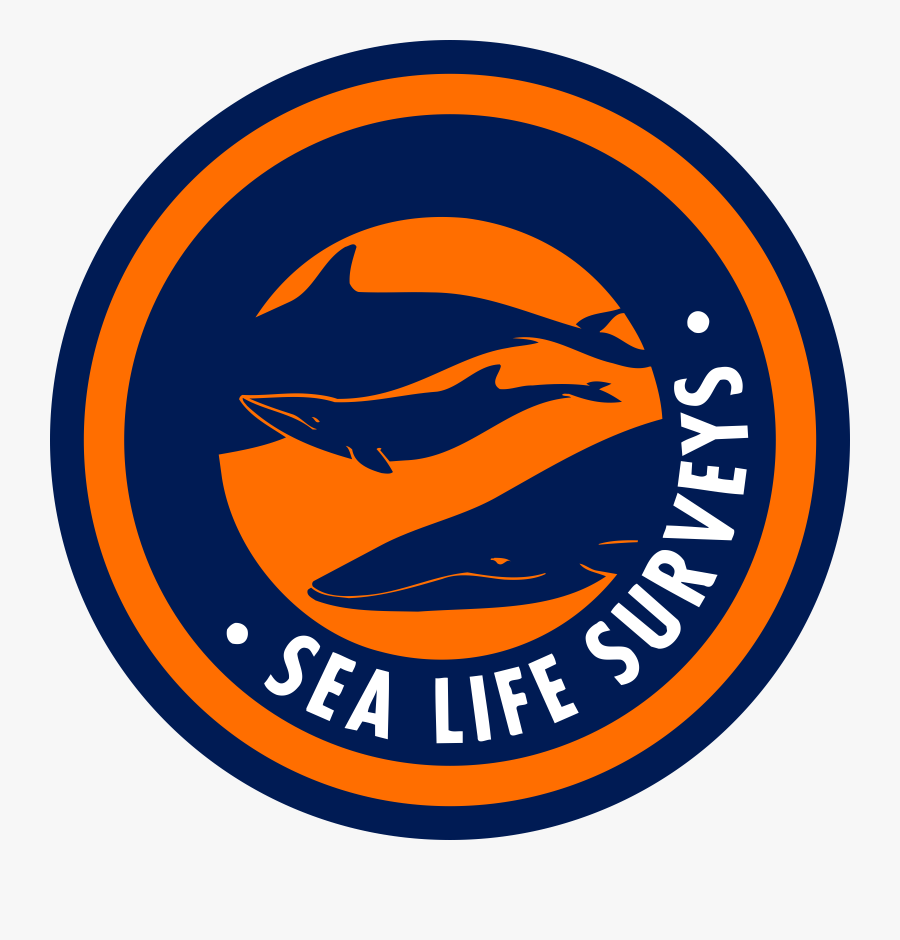 Sea Life Surveys Logo Png Transparent - Pomegranate Icon Png, Transparent Clipart