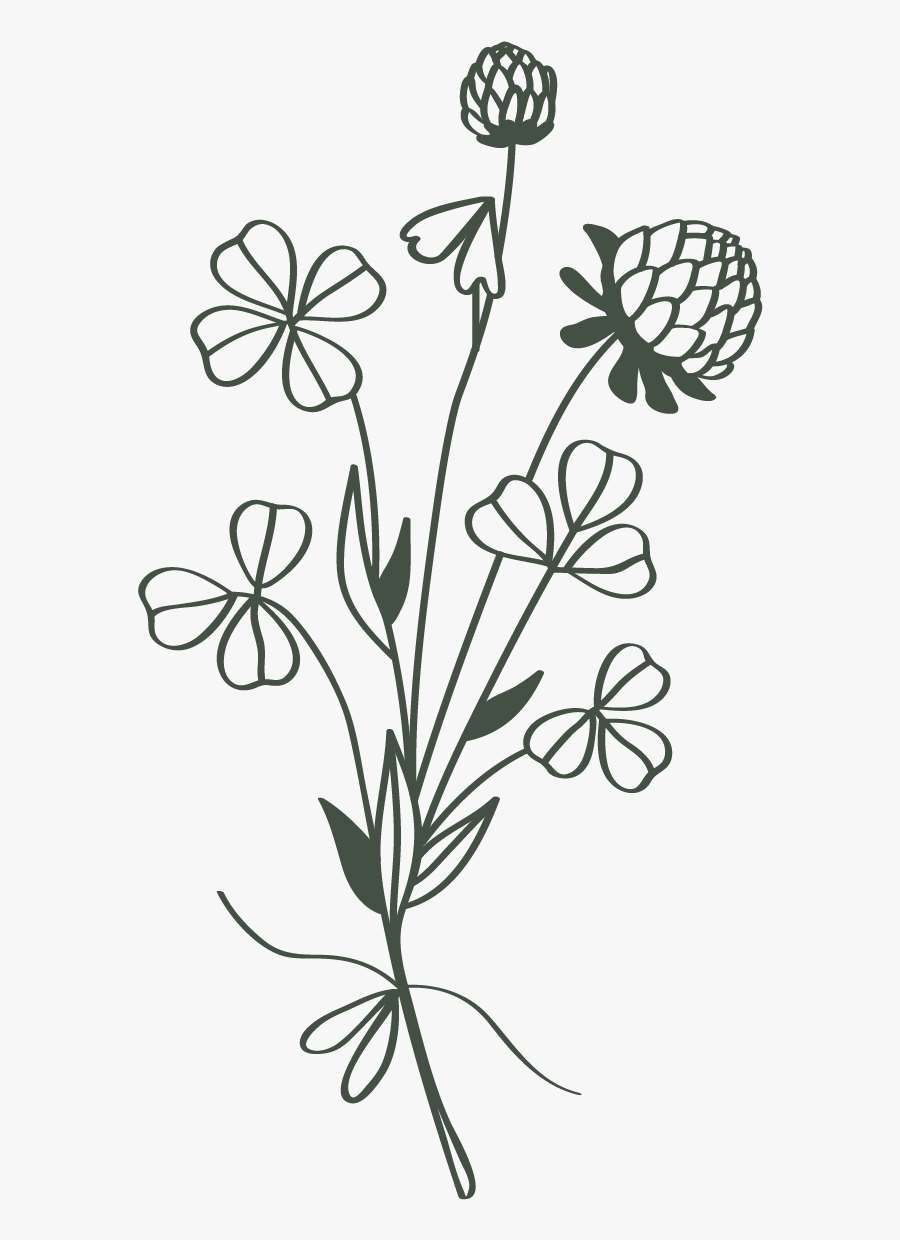 Cec 13 Bouquet Green Flip - Gilliflower, Transparent Clipart