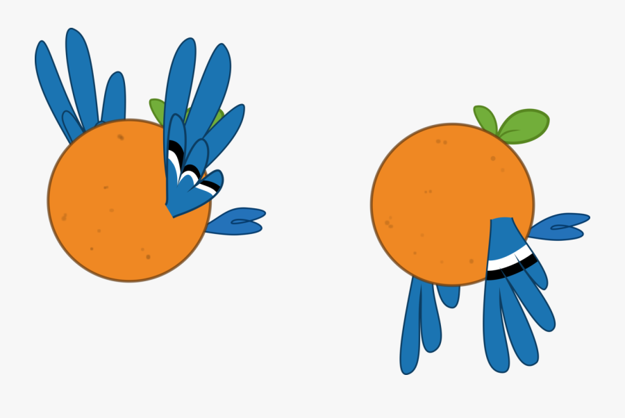 Pinkie Pie Vertebrate Orange Produce Food Fruit Clip - My Little Pony Blue Jay, Transparent Clipart