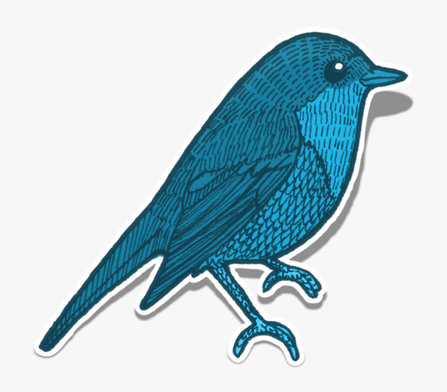 Blue Jay Clipart 18, Buy Clip Art - Elementos De La Naturaleza Animales, Transparent Clipart