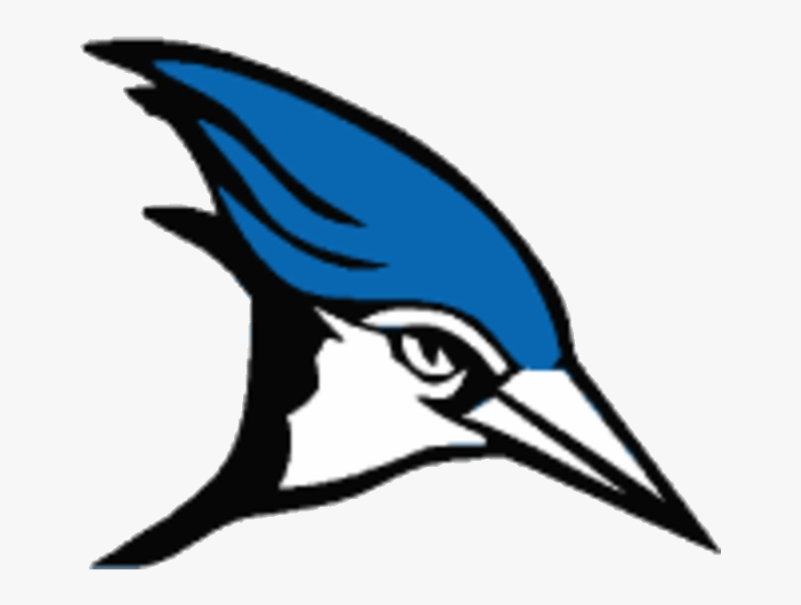 Blue Jay Vertebratebirdblue Jaydolphinbeakclip Artmarlinmarine - Jackson Milton Blue Jays Logo, Transparent Clipart