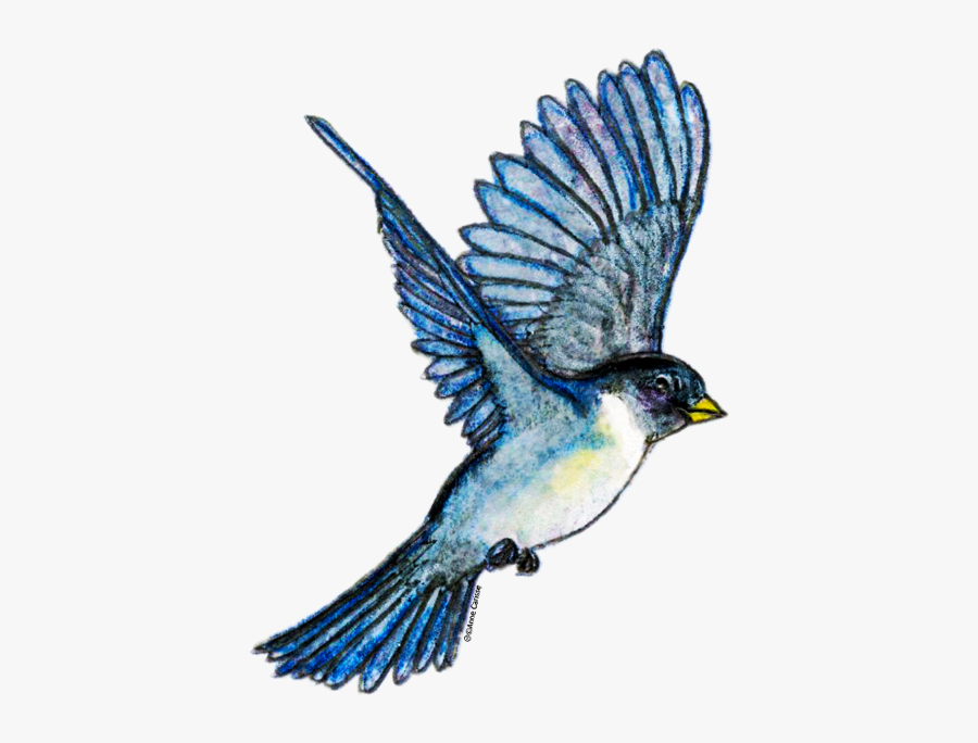 Clipart Gratuit Image Clipart, Transparent Clipart